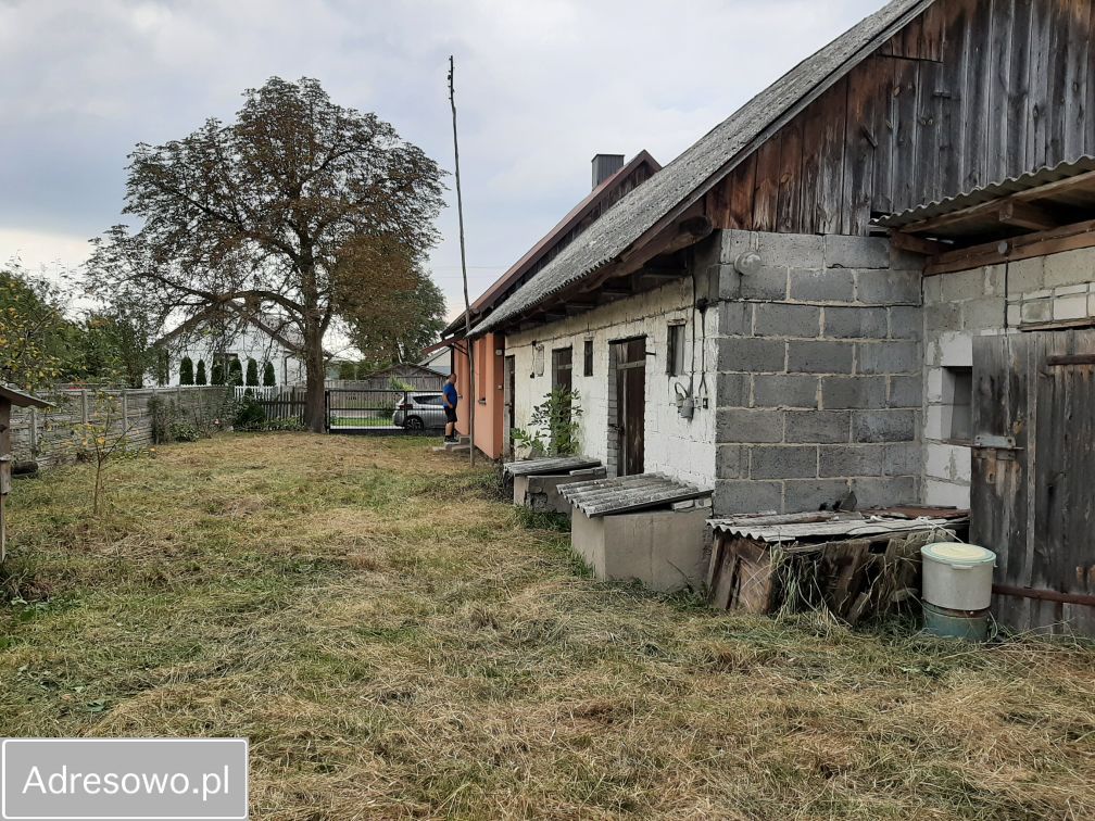 Działka rolno-budowlana Topolice. Zdjęcie 2