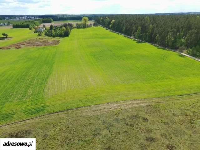 Działka budowlana Rybno. Zdjęcie 1