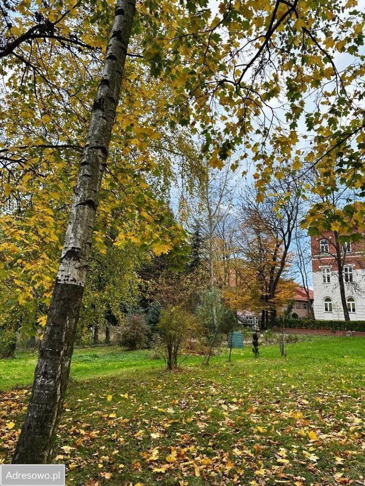 Mieszkanie 3-pokojowe Krosno Śródmieście, ul. Teodora Walslebena. Zdjęcie 19