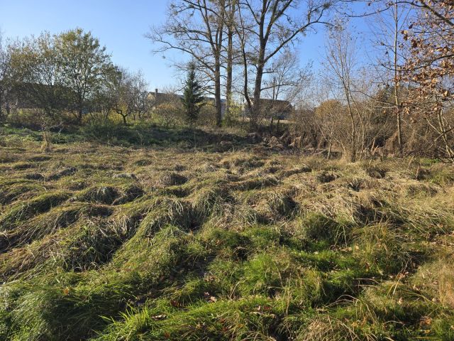 Działka rolna Błotno. Zdjęcie 1