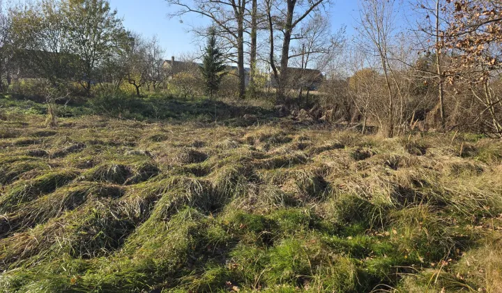 Działka rolna Błotno