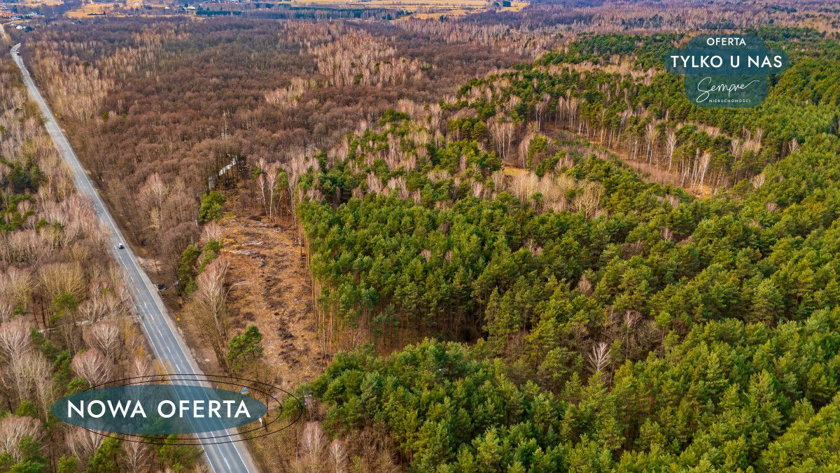 Działka leśna Załuże. Zdjęcie 3