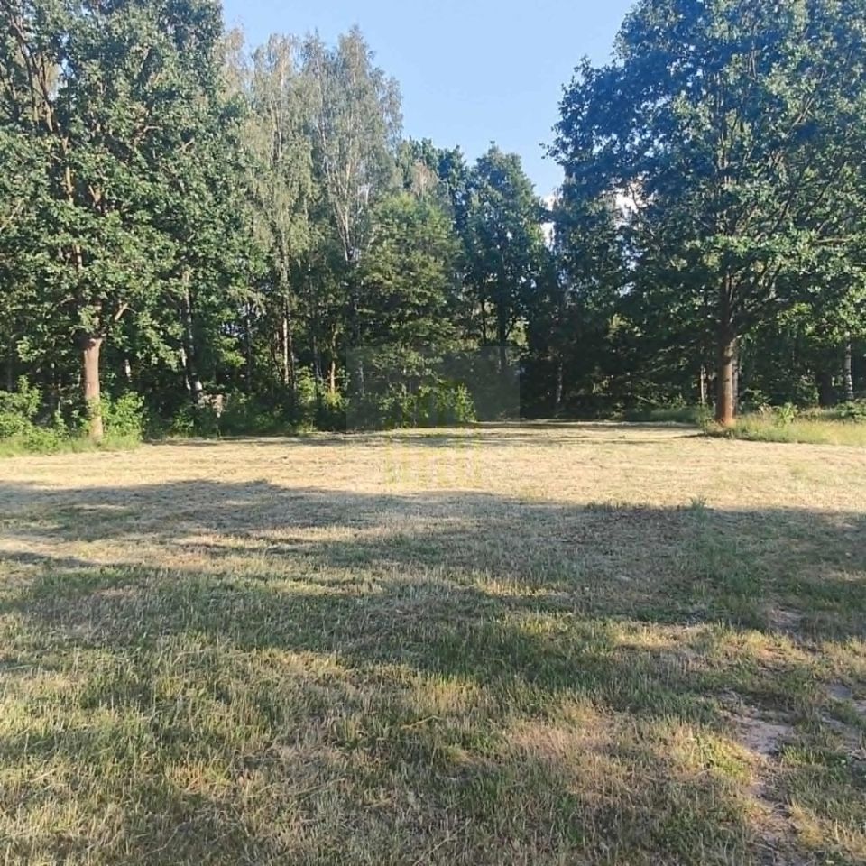 Działka budowlana Janinów. Zdjęcie 1