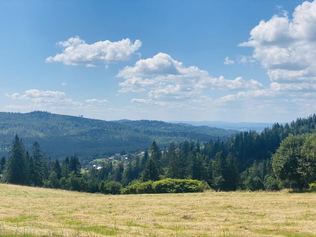 Działka budowlana Laliki. Zdjęcie 1