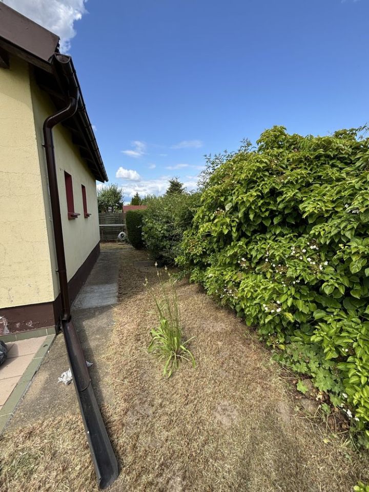 Działka rod Koninko. Zdjęcie 2