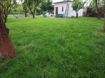 Działka rod Poznań Dębiec, ul. Samotna. Zdjęcie 1