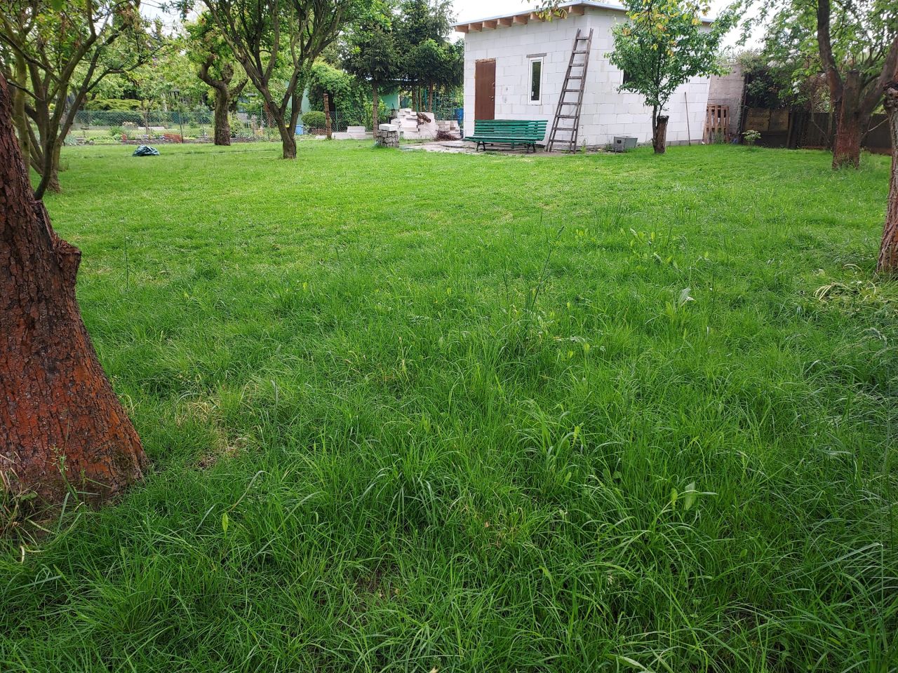 Działka rod Poznań Dębiec, ul. Samotna. Zdjęcie 2