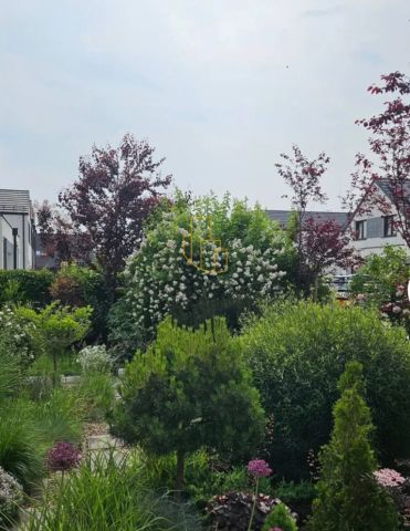 bliźniak, 5 pokoi Wrocław. Zdjęcie 4