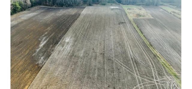 Działka rolna Brzozówka, Brzozówka. Zdjęcie 1