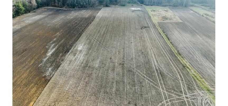 Działka rolna Brzozówka, Brzozówka. Zdjęcie 1