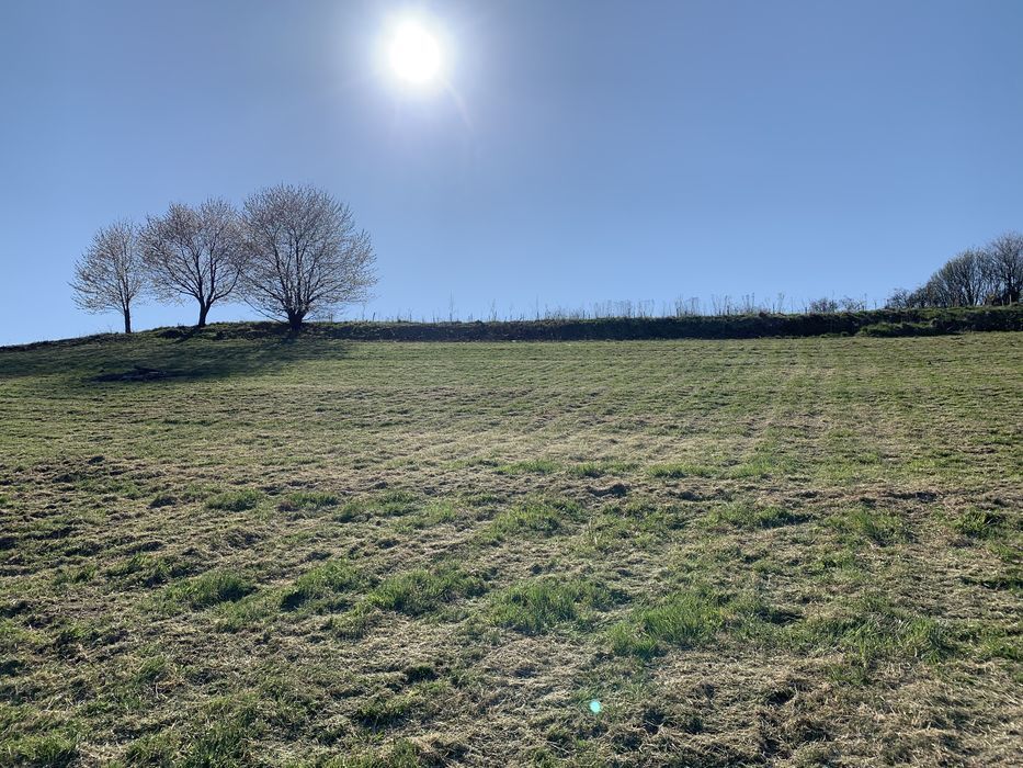 Działka budowlana Jazowsko. Zdjęcie 3