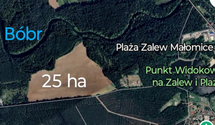 Działka rolno-budowlana Małomice, ul. Lipowa