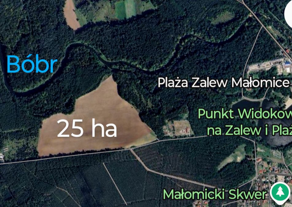 Działka rolno-budowlana Małomice, ul. Lipowa