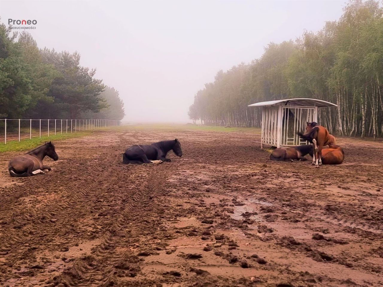 dom wolnostojący, 5 pokoi Chylin. Zdjęcie 20
