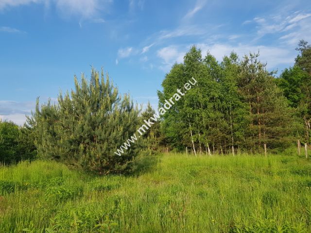 Działka budowlana Budy Zaklasztorne. Zdjęcie 1