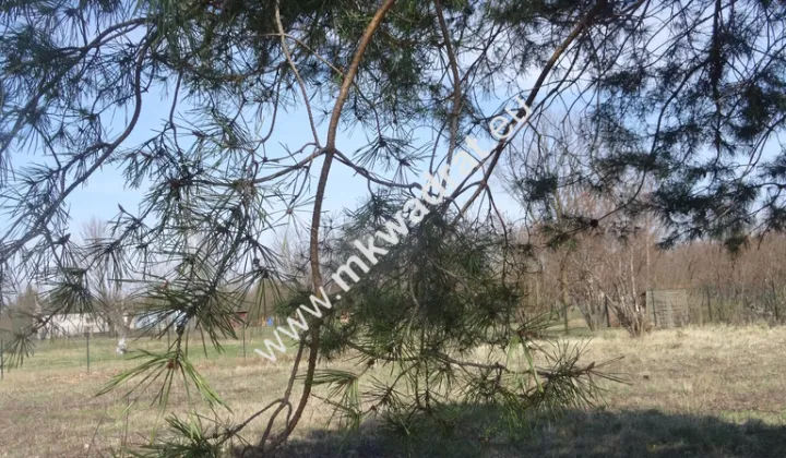 Działka budowlana Komorów