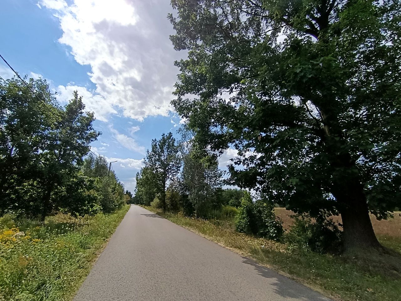 Działka rolno-budowlana Jaźwie, ul. Rodziny Majewskich. Zdjęcie 6