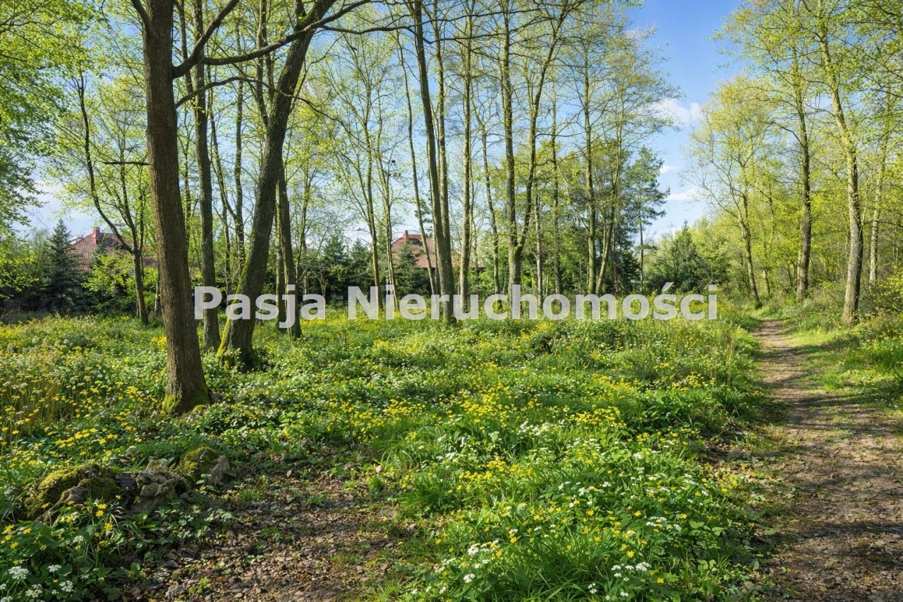 Działka budowlana Białobrzegi. Zdjęcie 3