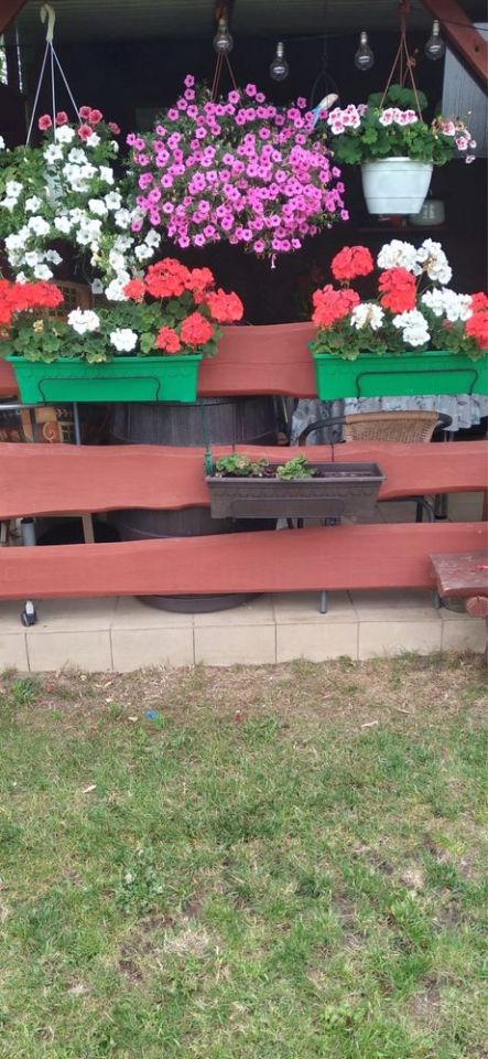 Działka rod Zielona Góra Nowy Kisielin. Zdjęcie 3