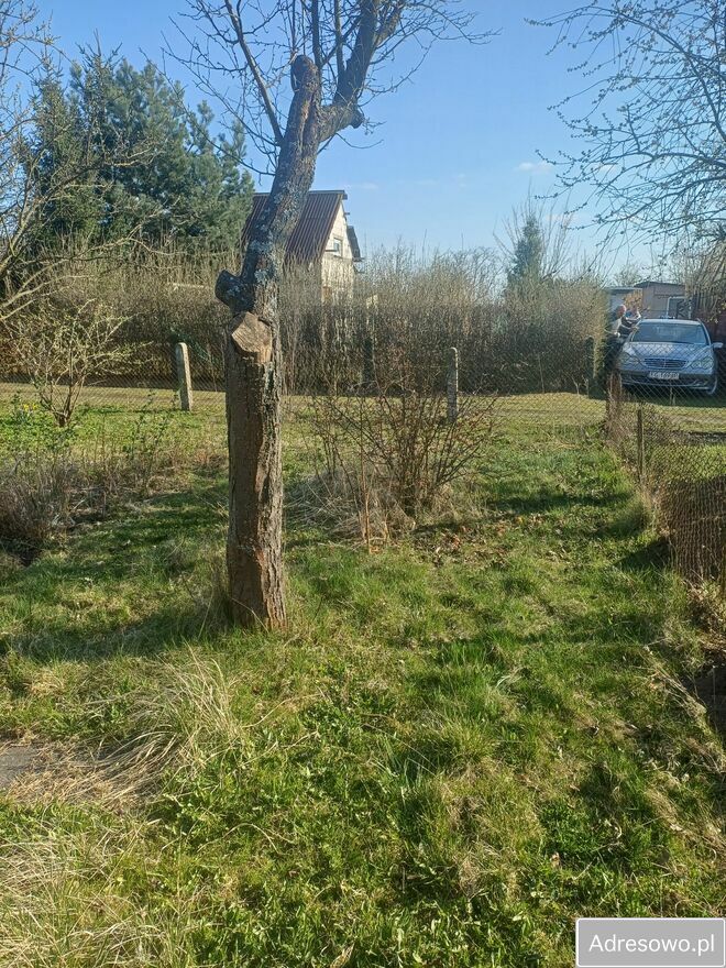Działka rod Gorzów Wielkopolski Śródmieście, ul. Szpitalna. Zdjęcie 7