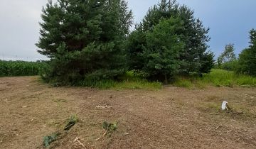 Działka budowlana Prawiedniki-Kolonia