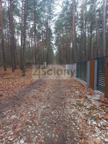 Działka leśna Sękocin-Las. Zdjęcie 3