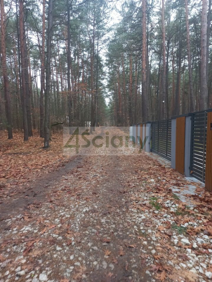 Działka leśna Sękocin-Las. Zdjęcie 3