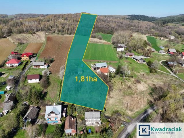 dom wolnostojący, 3 pokoje Śliwnica. Zdjęcie 3