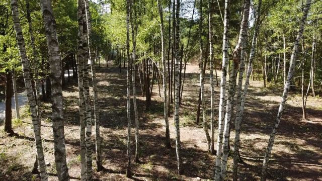 Działka budowlana Żanęcin, ul. Gościniec. Zdjęcie 2