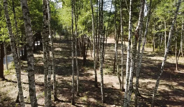 Działka budowlana Żanęcin, ul. Gościniec