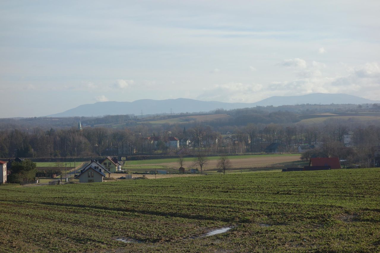 Działka siedliskowa Pierściec, ul. Winogradzka. Zdjęcie 4
