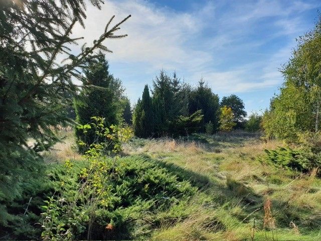 Działka budowlana Oświno. Zdjęcie 3