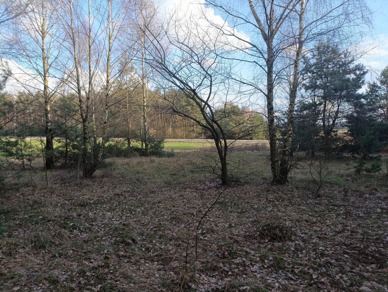 Działka rekreacyjna Lubowidz, ul. Leśna. Zdjęcie 7