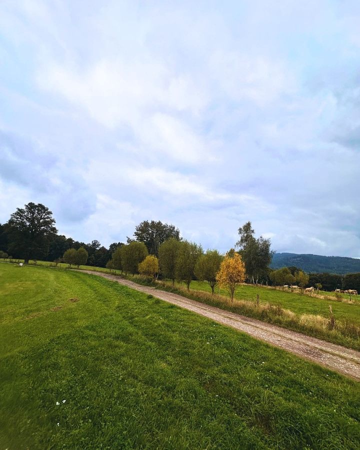 Działka budowlana Janowice Wielkie. Zdjęcie 12