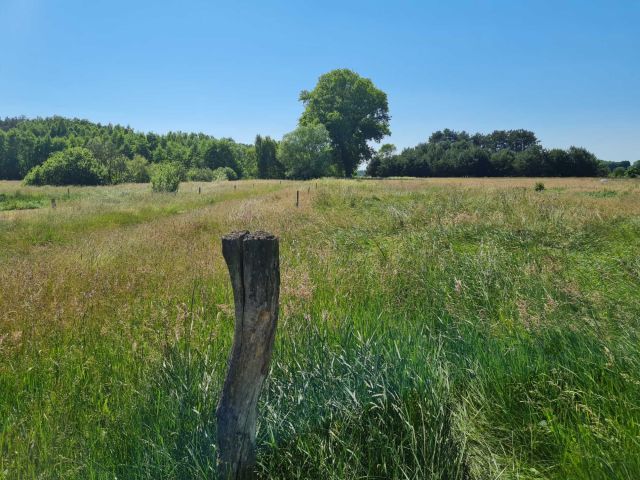 Działka rolna Stok Ruski. Zdjęcie 1