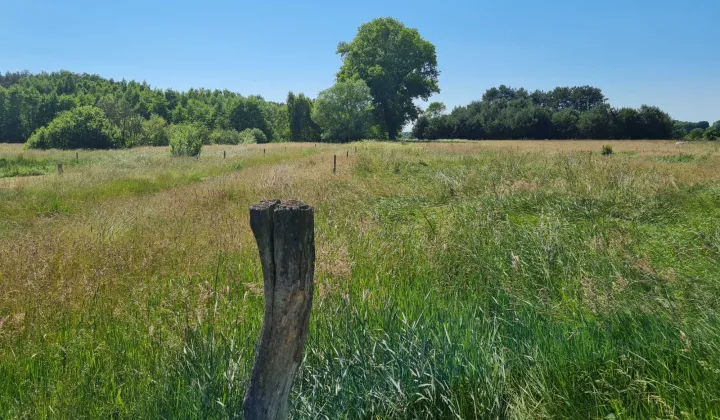 Działka rolna Stok Ruski