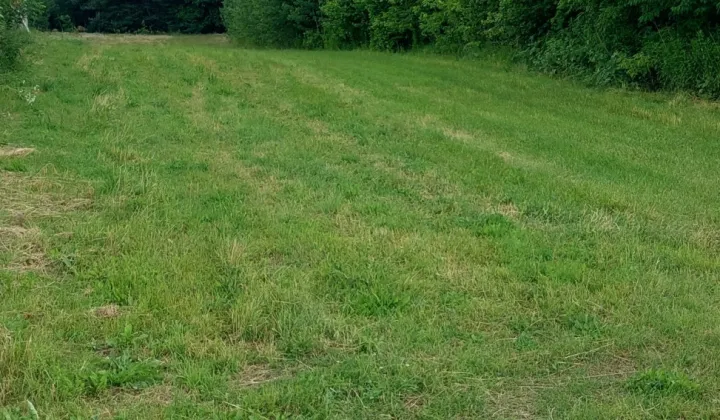 Działka budowlana Siekierka Nowa, Siekierka Nowa