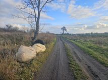 Działka rolna Snowidza. Zdjęcie 4