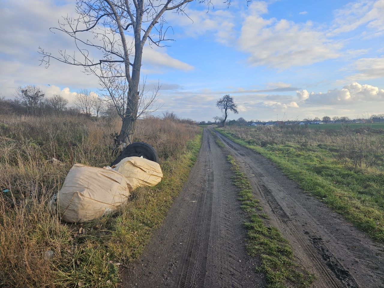 Działka rolna Snowidza. Zdjęcie 5