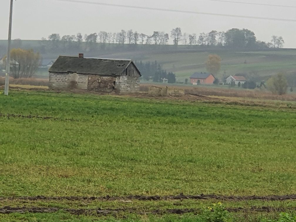 Działka budowlana Sielec Biskupi. Zdjęcie 3
