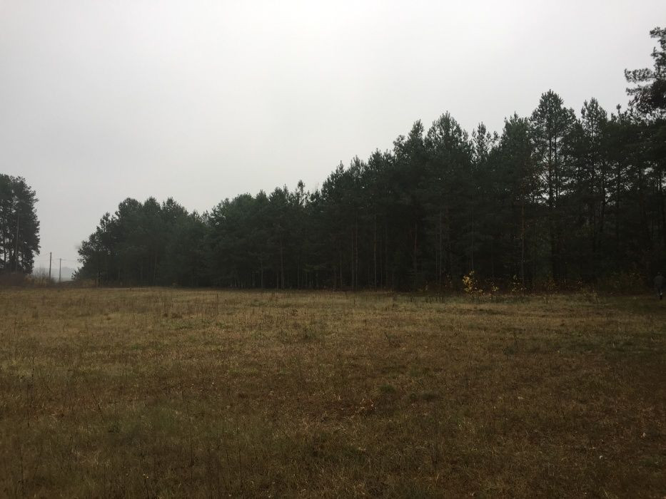 Działka rolno-budowlana Łyse. Zdjęcie 1