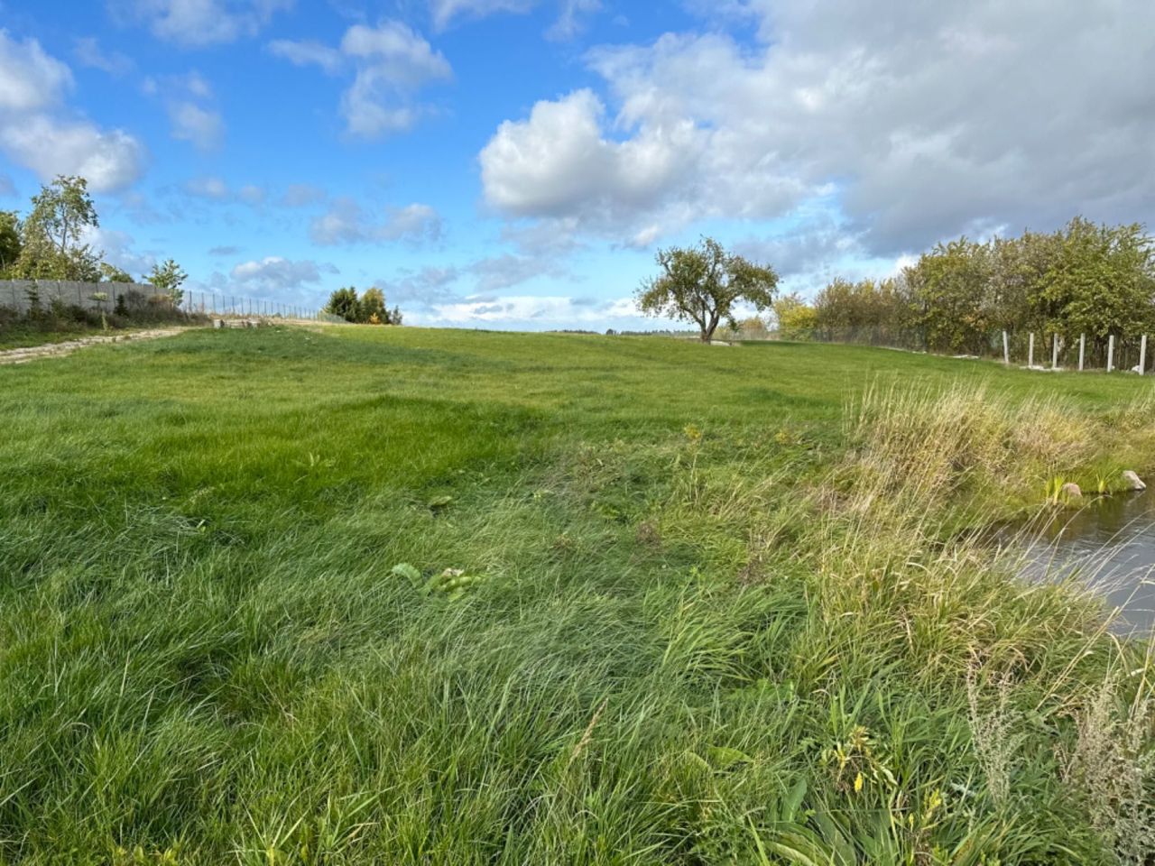 Działka siedliskowa Rodnowo. Zdjęcie 7