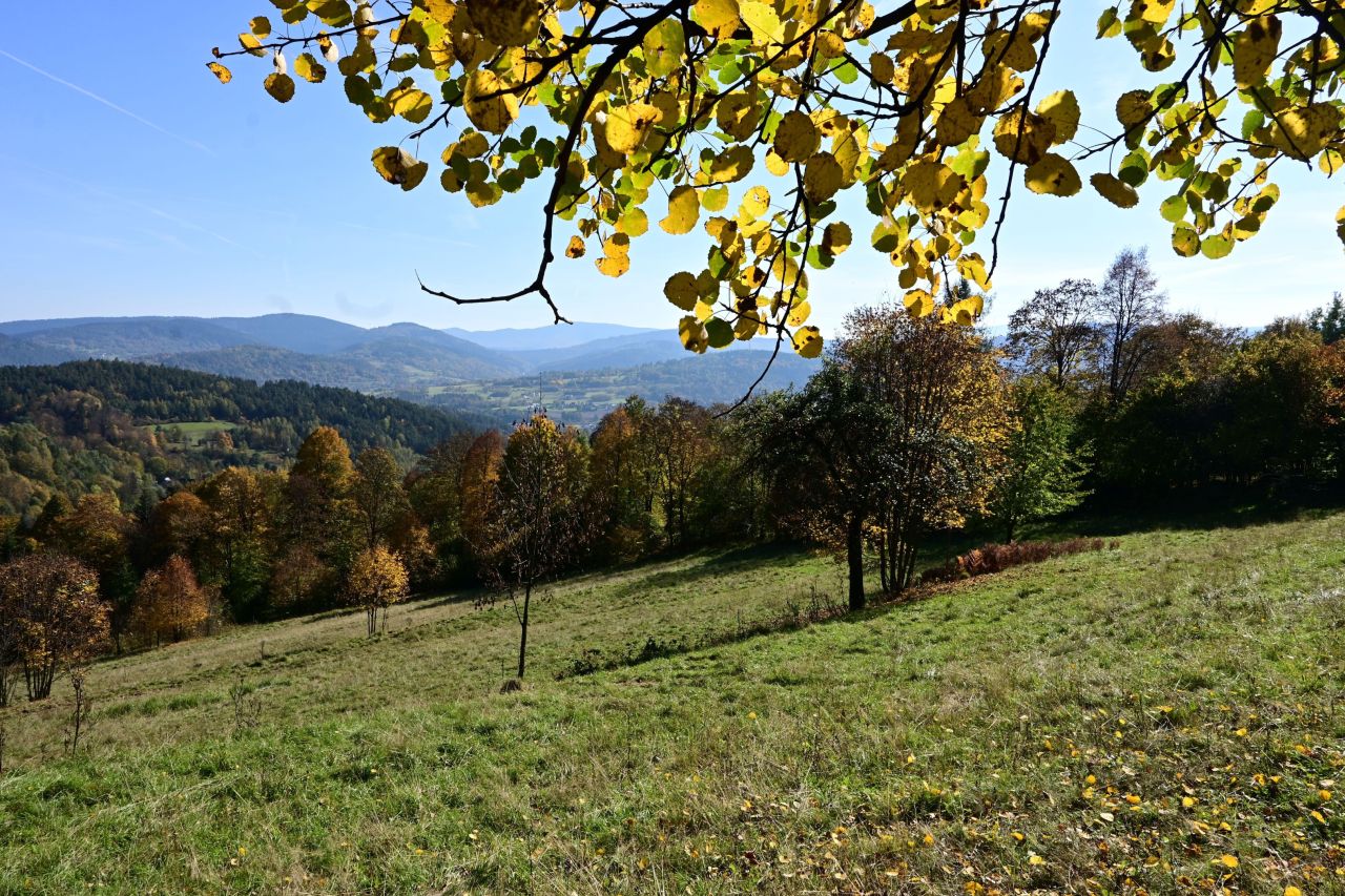 Działka rolno-budowlana Kuków