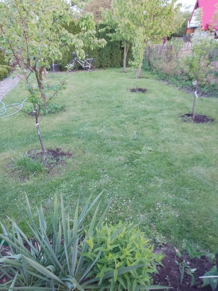 Działka rod Szczytno, ul. Robotnicza. Zdjęcie 3