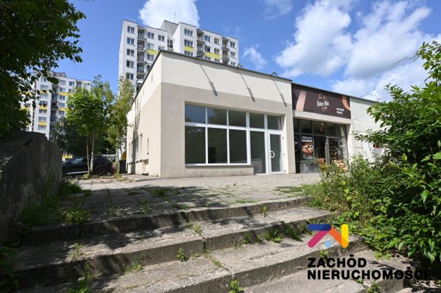 Lokal Zielona Góra. Zdjęcie 1
