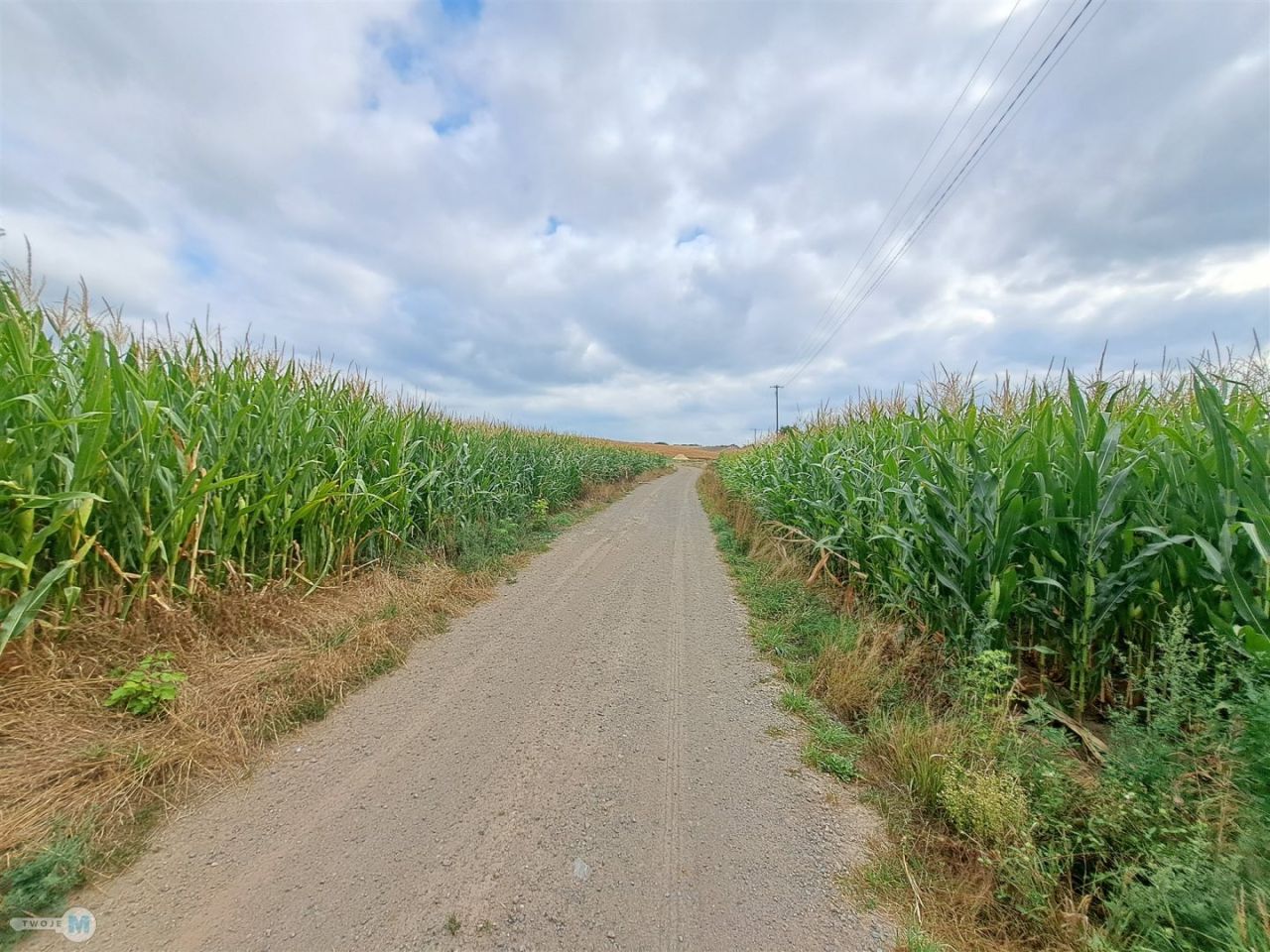 siedlisko, 2 pokoje Ożarów. Zdjęcie 15