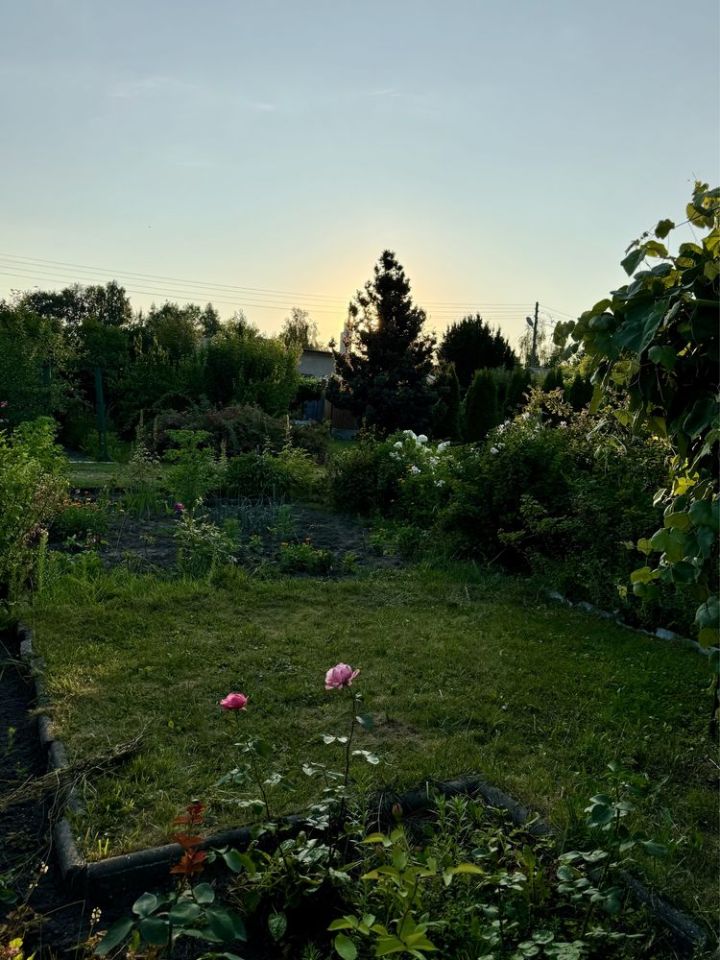 Działka rod Starachowice, ul. Leśna. Zdjęcie 6