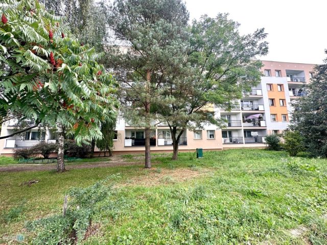 Mieszkanie 3-pokojowe Kielce KSM, ul. Śląska. Zdjęcie 8