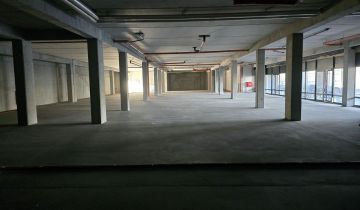 Lokal Poznań Jeżyce, ul. Zofii Nałkowskiej