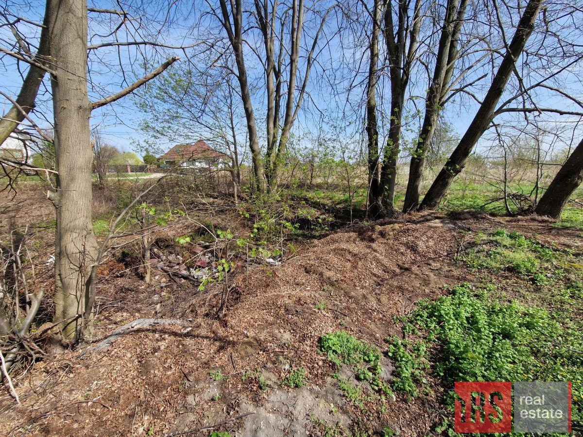 Działka rolna Stary Gieląd. Zdjęcie 4